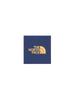 The North Face Gypsy Cover It Short and Mountain Free Size Mask, Wristband, Hairband, Unisex, Blue,