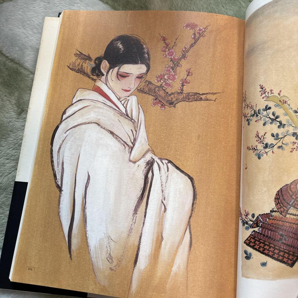 [USED] Artistic Interest: A Collection of Sumeragi Natsuki's Works