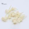 Bird Feeding Fork Food Feeder for Cage, Parrots Cage Holder Fruit Enrichment Fork, Vegetable Tool Forks Cockatoos Treats For Birds
