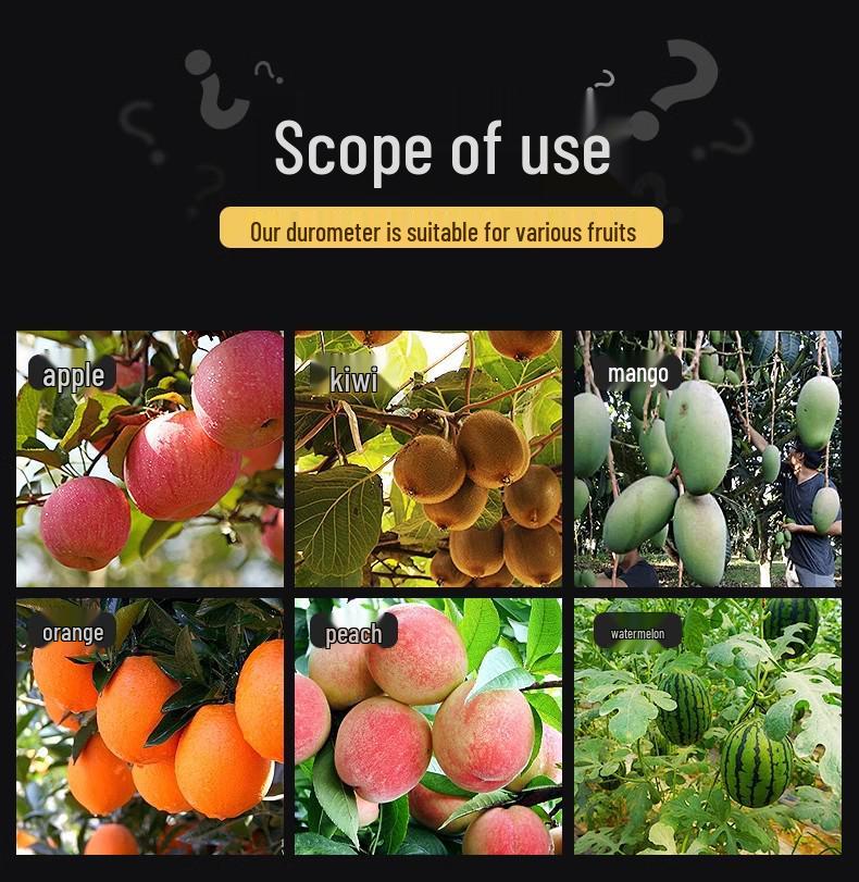GY Precision Fruit Hardness Tester Portable Handheld Ripeness Detector