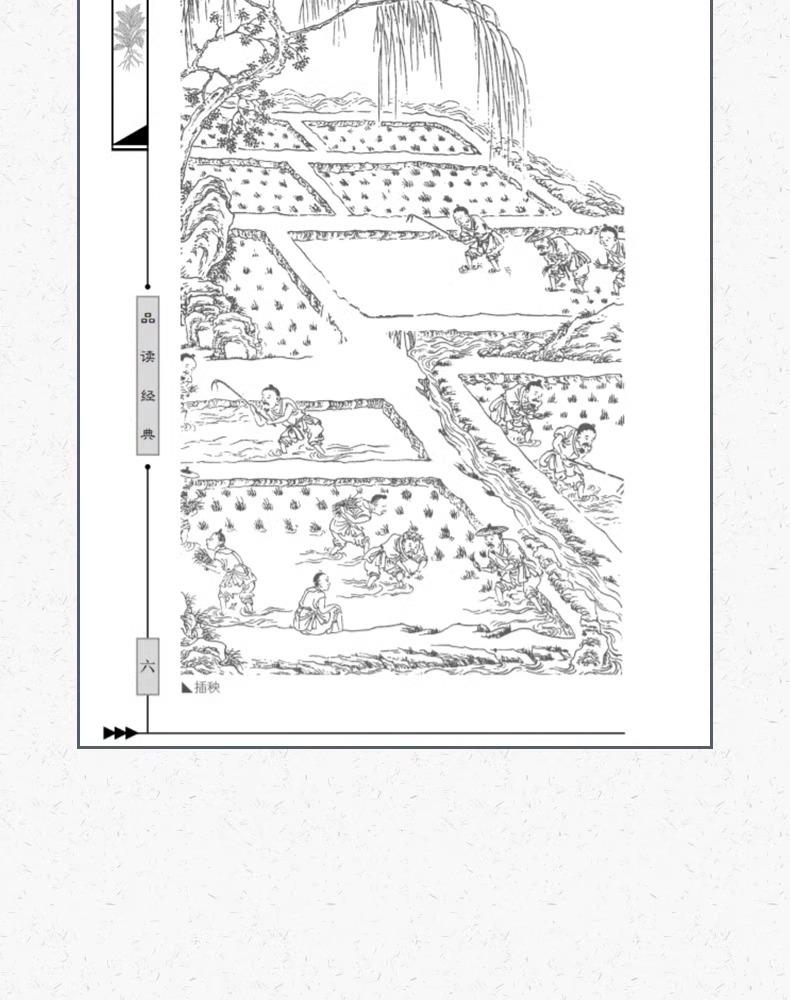 Tiangong Kaiwu: A Bilingual Guide To Ancient Chinese Agriculture and Planting Classics