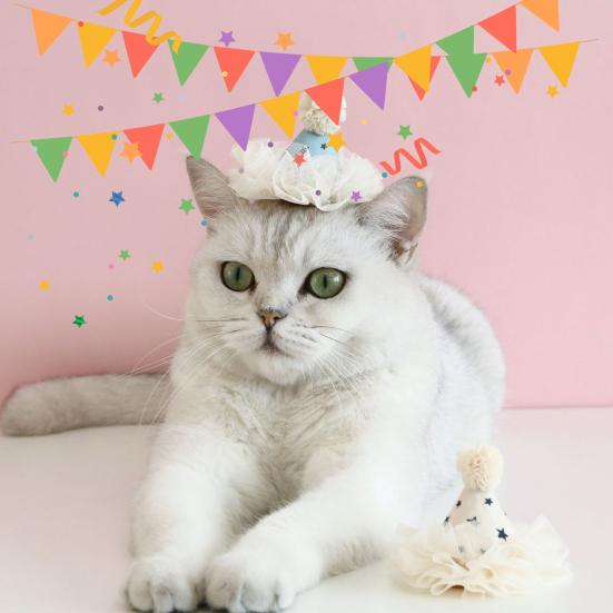 Katzenmütze für Haustiere, Schleifenknoten-Design, leuchtende Farben, hautfreundlich, ultraleichter Spitzenbesatz