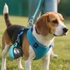 2-in-1 Haustier-Reise-Wasserspender Tragbarer Outdoor-Wasserbecher für Hunde- und Katzenspaziergänge