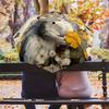 Cute Squirrel pattern, automatic folding umbrella, portable and foldable design, 8 ribs, a Christmas or birthday gift.
