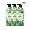 Real Garden Mugwort Mineral Soothing Body Wash 900g X 3