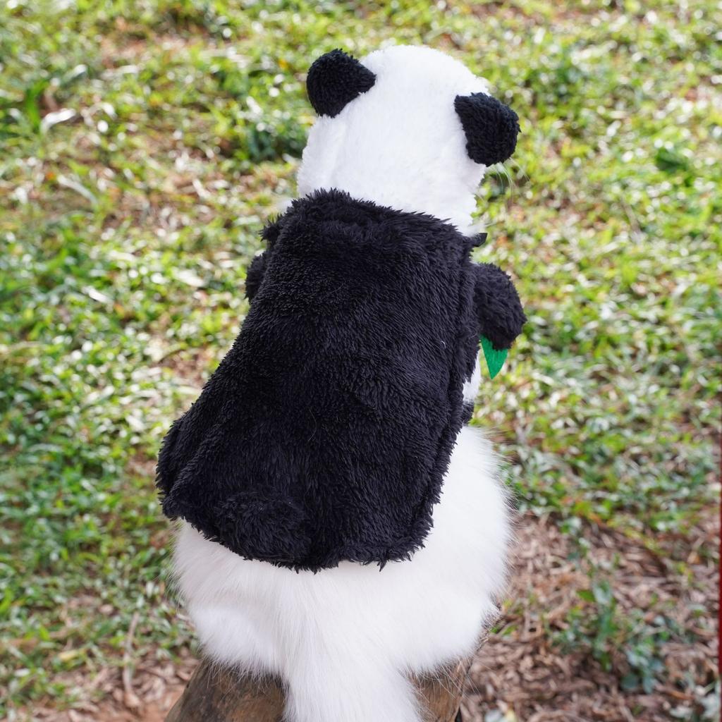 Pet Clothing Panda Standing Transformation Weird Funny Teddy Bigbear Dog Cat Clothing