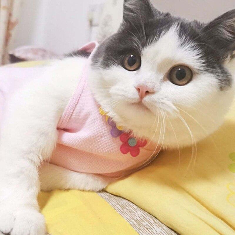 cat e collar alternative