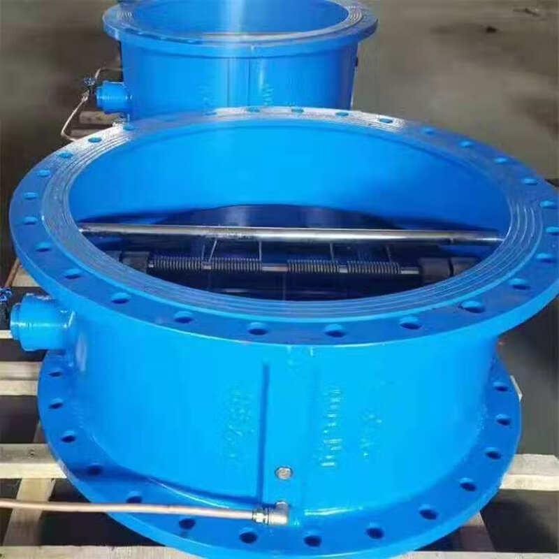 Gemallon Cast Steel Flanged Check Valve