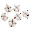 Nuchi Handmade Single-Head Dried Cotton Flower Bouquet for Christmas Decoration