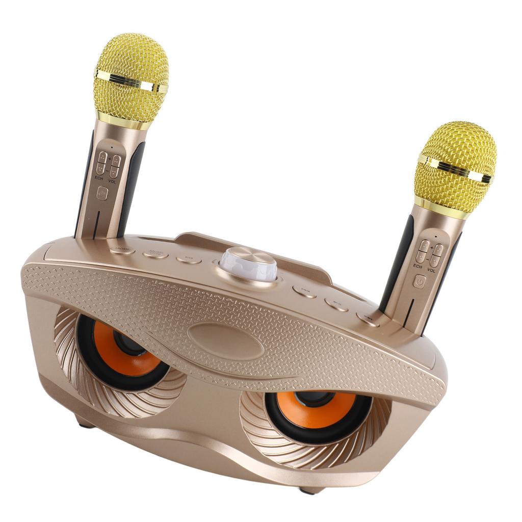 Speaker Home KTV Karaoke   Speaker with Two Microphone (Black)