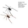 2 Pcs Spider Fridge Magnet Realistic Spider Figurine Removable Spooky Spider Magnet for Refrigerator Garage Door Car Locker Decoration
