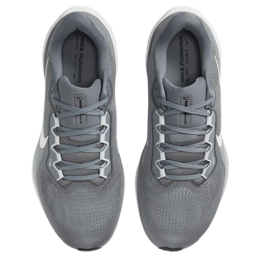 Nike Pegasus 41 Cool Grey Wolf Grey Pure Platinum White FD2722-009