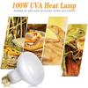 Ovladač Želva Vyhřívající se Ještěrky Vyhřívající se Sluneční Vyhřívací Lampa Den Noc UVA Lampa pro Plazy Žárovka