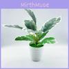 Realistic Plastic Foliage Indoor Plant For Office Desk Or Home Shelf Display