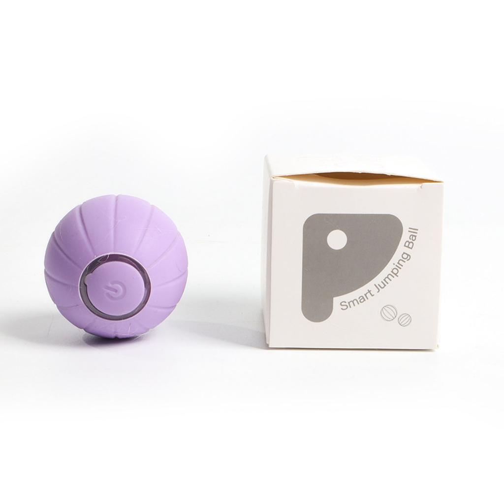 Pet Ball Toy Silicone Rolling Ball Sound Light Rechargeable Ball Obstacle Avoidance for Dog Cat