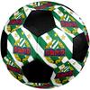 SIZE 5 Rapid Vienna Soccer Ball Colorful All Ages Machine Stitched PVC Competition Ready Durable High-Bounce
