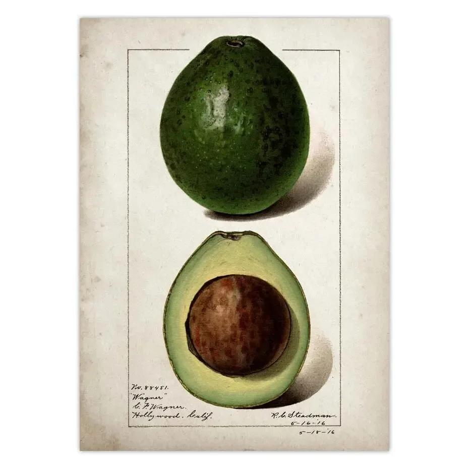 Classic Fruit Kitchen Antique Canvas Painting Retro Print Pear Apple Pineapple Wall Art Deco Picture,High Quality for Home Decor