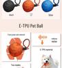 PetSmart Electric Dog Toy: Waterproof, Bite-Resistant E-TPU Bouncing Ball with Rope for Interactive Teething