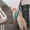 Az idősebb kutyák számára készült kisállat-asszisztált póráz állítható a kutya rehabilitációs gyakorlatainak mell- és hátpántja.