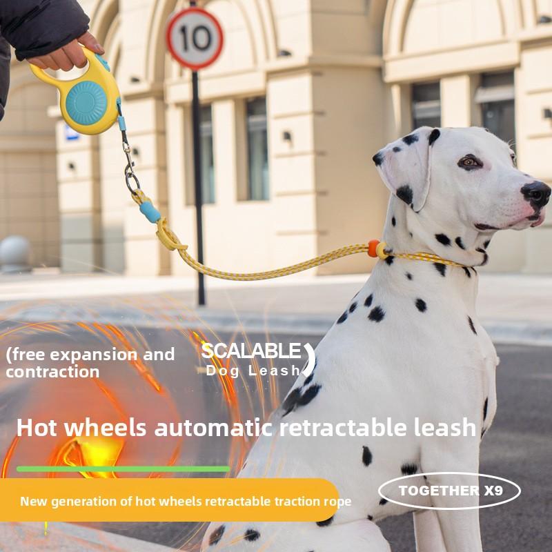 Pet Dog Leash, Automatic Telescopic Leash, Dog Walking Leash, Pet Dog Leash When Going Out