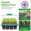 4/5/6 Heads Full Spectrum USB 5V LED Grow Light with Seedling Starter Tray Greenhouse Plant Growing Lamp for Seedlings