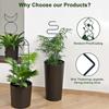 4pcs Geometry Metal Plant Trellis Potted Climbing Plant Starter Tool for Stems Vine Peas Vegetables DIY Training Pole