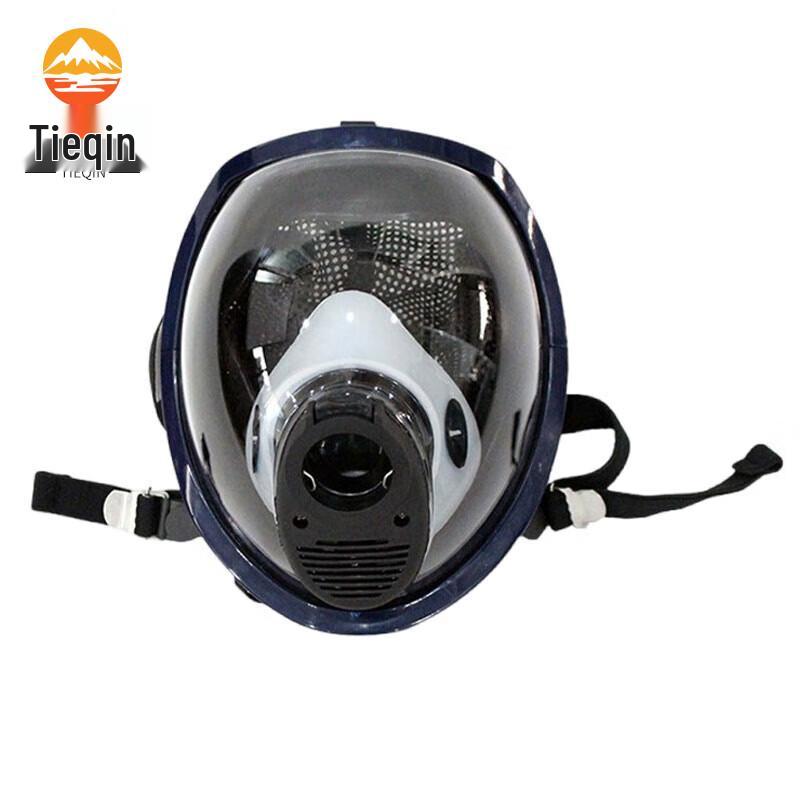Tieqin Full Face Filter Gas Mask