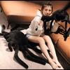 Spider Stuffed Animal Soft Fur Huggable Black Spider Plush Toy Cute Desert Animals Cuddle Gift Super Soft Plush Doll Animal Toy