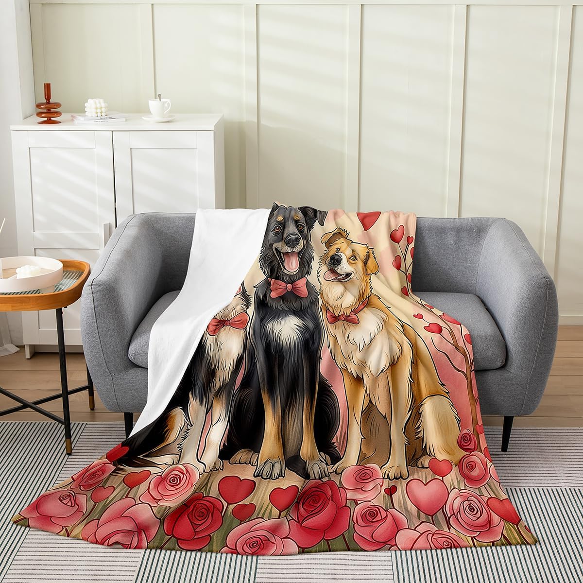 

Cute Dachshund Dog Pattern Throw Blanket Love Heart Design for Living Room Decor Gift for Her PetLovers 70x100cm28x39in