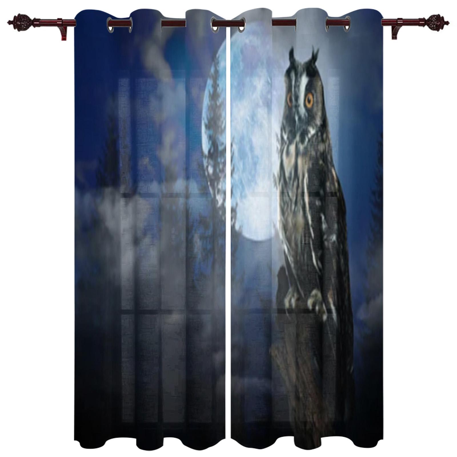 Сова — фото 18