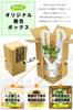 Sansevieria gift box only set box that can be given as Day birthday baby wedding 60th birthday a gift to convey Genuine houseplant hydroculture mini