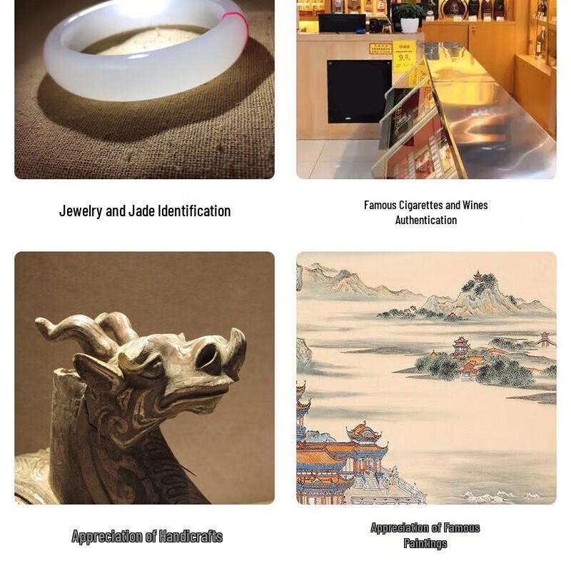 60x USB Rechargeable Magnifier with UV Light