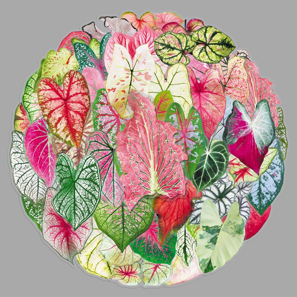 50 Sheets of Realistic Translucent Taro Leaf Stickers for DIY Crafts: Envelopes, Helmets, Phone Cases