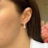 Silver Earrings with Cubic Zirkonia (2138778)