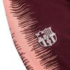 Nike Vaporknit Barcelona Club Player Edition Football Training Series Logo Print Straight Leg Comfortable Sports Pants Men Pants Burgundy 894195-669