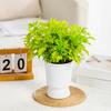 Self Watering Planter Pots African Violet Pots for Indoor Outdoor Windowsill Garden Modern Plastic Plant Pot with Wick Rope And Reservoir