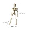 Halloween Decorative Skull Sculpture Movable/Posable Joints Human Skeleton Figure Full Size for Yard Garden Patio Haunted House