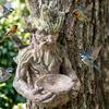 Tree Face Bird Feeder Funny Resin Hanging Bird Feeding Station Tree Mounted Forest Guardian Sculpture for Backyard Garden