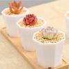 5Pcs Succulent Plant Pot Ceramic Octagonal Small Resin Flower Pot