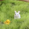 Realistic Animals Micro Landscape Ornaments Animals Figurines  Office Desk Accessories