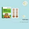 Motion Sickness Patch Natural Ingredients Non Drowsy Travel Relief Patch Easy to Apply Suitable for Car Boat Plane Use 10 Pieces