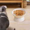 Ceramic Raised Pet Feeder Feeding Station Dog Bowl Stable Cat Dish Water Elevated