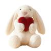20/30CM Bunny Stuffed Animals Holds Red Heart Cute Rabbit Plushies Soft Plush Toys Romantic Sweet Gifts for Girlfriends Kids
