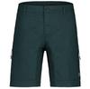 Шорты Maloja CrosaM. Shorts Mountain Pine Синий
