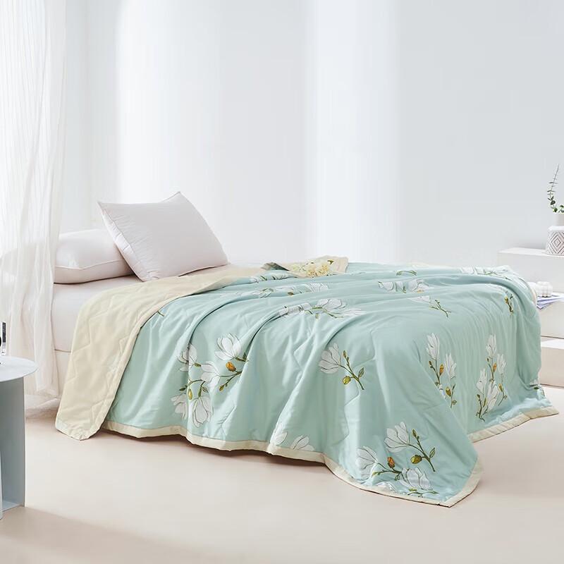 Yalu Brushed Printed Summer Quilt