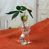 Female Body Clear Glass Avocado  Sprouting Planter Modern Hydroponic Vases For Indoor Plant Display Desktop Decors
