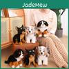 Weiches und kuscheliges Berner Sennenhund-Plüschtier, 25 cm