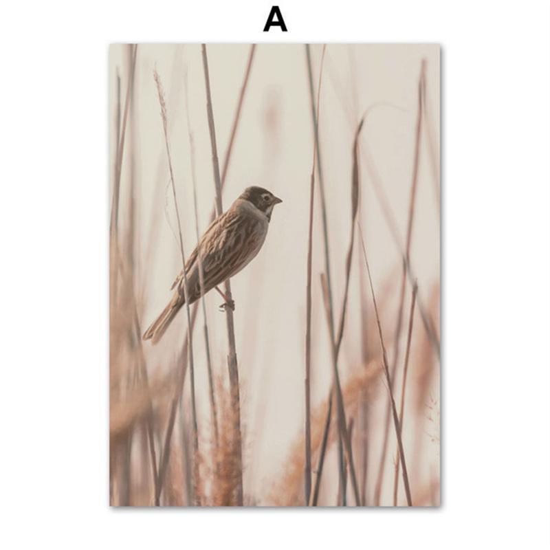 

Reed Дикое растение, скандинавские постеры и принты с пейзажами пустыни, настенная живопись на холсте, настенные картины с сеном для гостиной, домашний декор 21*30cm