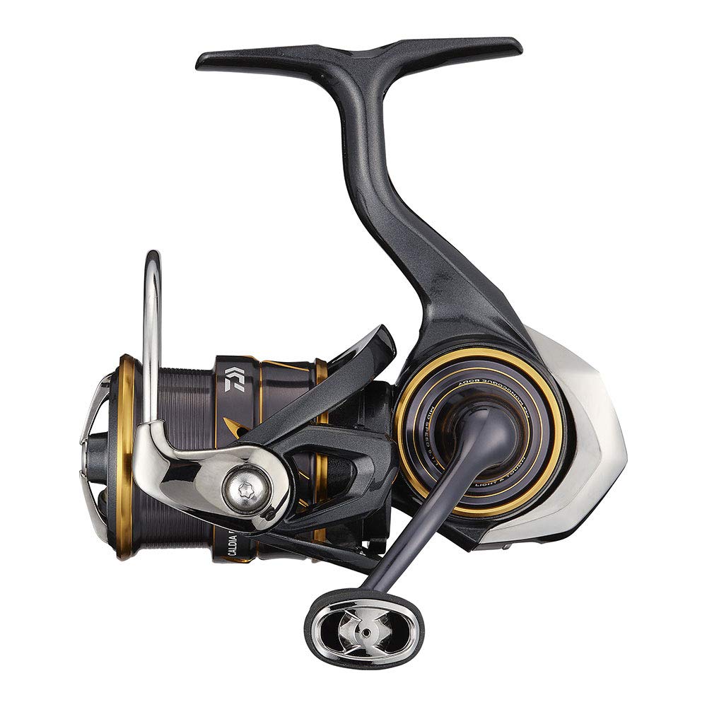 Daiwa Spinning 21 Caldia FC LT1000S