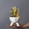 Ceramic Flower Pot Breathable Simple Nordic Style Portrait Pot Indoor Desktop Art Ornament Flower Pot Succulent Green Plant Flower Pot